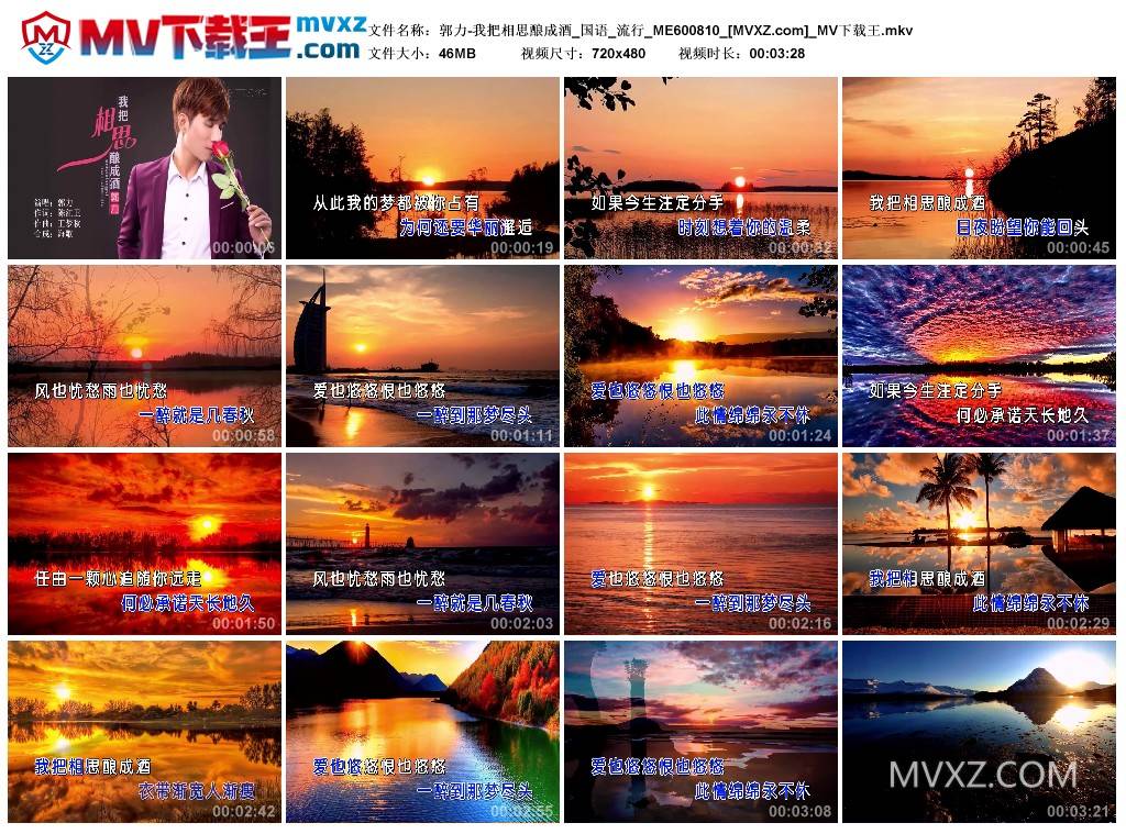 郭力-我把相思酿成酒_国语_流行_ME600810